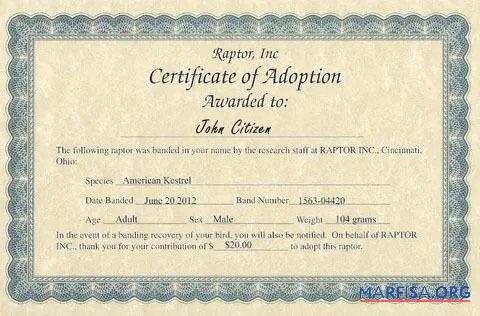 Realistic USA Raptor Inc certificate of adoption real example